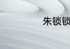 朱锁锁和谁结婚了