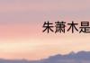 朱萧木是罗永浩跟班么