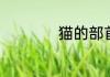 猫的部首叫什么名字