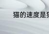 猫的速度是猫的七倍是什么梗