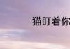 猫盯着你看是什么意思