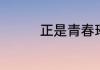 正是青春璀璨时剧情介绍