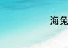 海兔怎么清洗