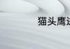 猫头鹰进宅暗示什么
