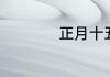 正月十五元宵节日记