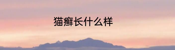 猫癣长什么样