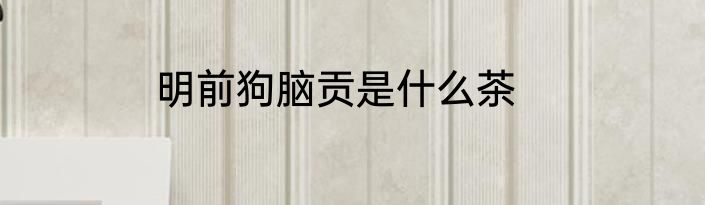 明前狗脑贡是什么茶