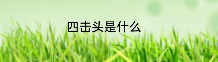 四击头是什么