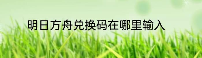 明日方舟兑换码在哪里输入