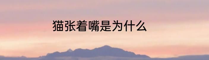 猫张着嘴是为什么