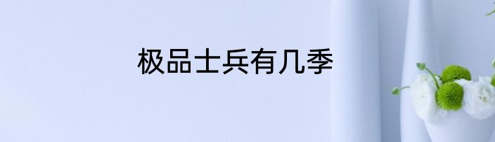 极品士兵有几季