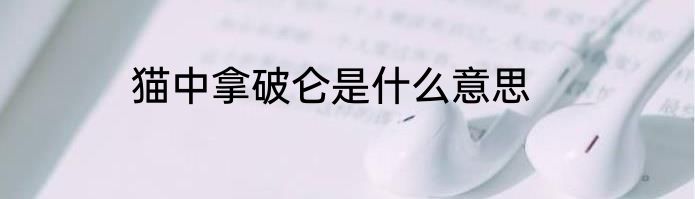 猫中拿破仑是什么意思