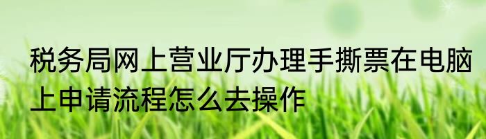 税务局网上营业厅办理手撕票在电脑上申请流程怎么去操作