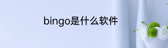 bingo是什么软件