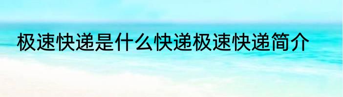 极速快递是什么快递极速快递简介