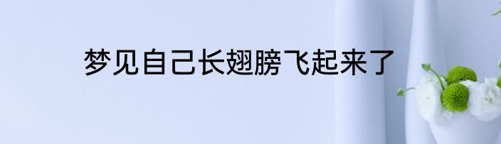 梦见自己长翅膀飞起来了