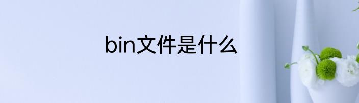 bin文件是什么
