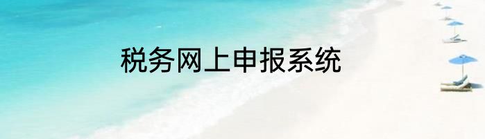 税务网上申报系统