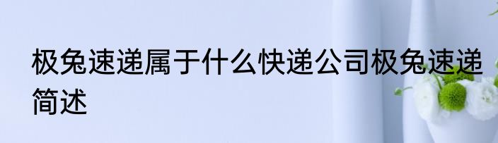 极兔速递属于什么快递公司极兔速递简述