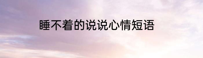 睡不着的说说心情短语