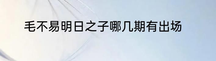 毛不易明日之子哪几期有出场