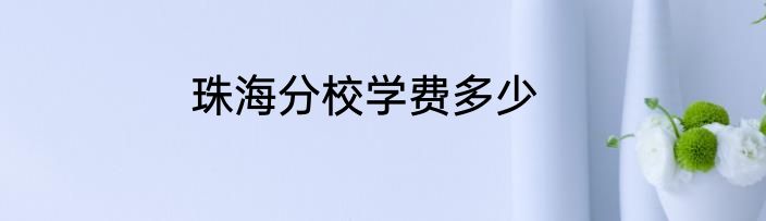 珠海分校学费多少