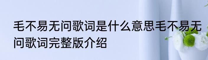 毛不易无问歌词是什么意思毛不易无问歌词完整版介绍