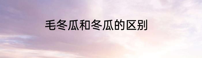 毛冬瓜和冬瓜的区别