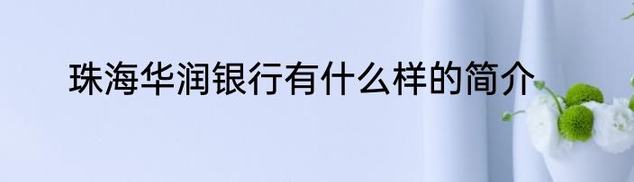 珠海华润银行有什么样的简介