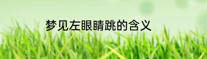 梦见左眼睛跳的含义