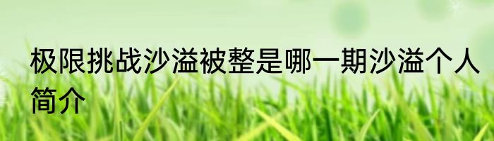 极限挑战沙溢被整是哪一期沙溢个人简介