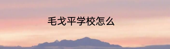 毛戈平学校怎么