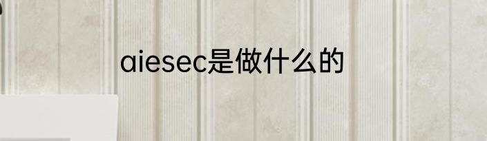 aiesec是做什么的