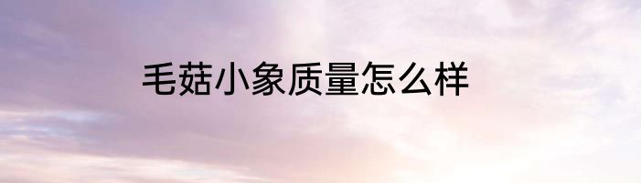 毛菇小象质量怎么样