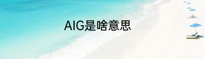 AIG是啥意思
