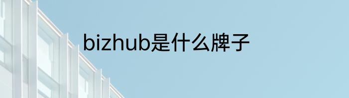 bizhub是什么牌子