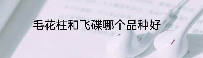 毛花柱和飞碟哪个品种好