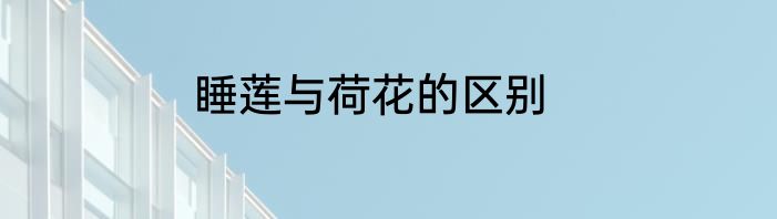 睡莲与荷花的区别