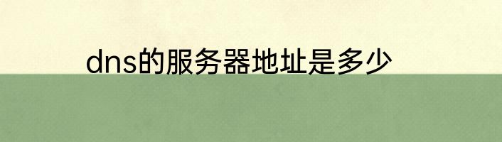 dns的服务器地址是多少