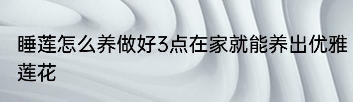 睡莲怎么养做好3点在家就能养出优雅莲花