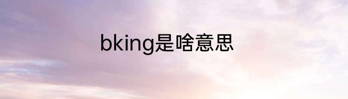 bking是啥意思