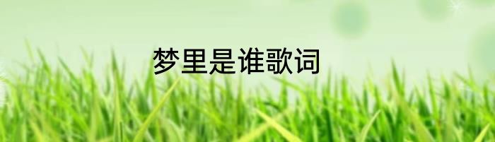 梦里是谁歌词