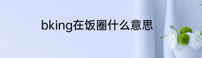 bking在饭圈什么意思
