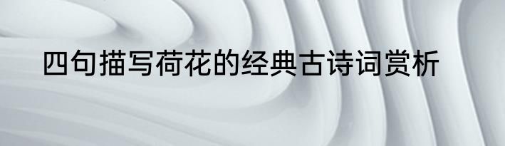四句描写荷花的经典古诗词赏析