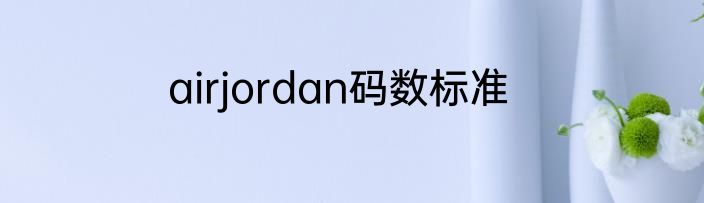 airjordan码数标准