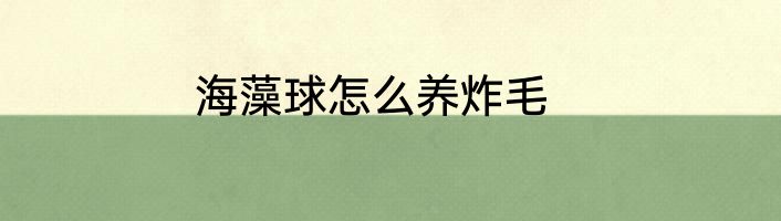 海藻球怎么养炸毛