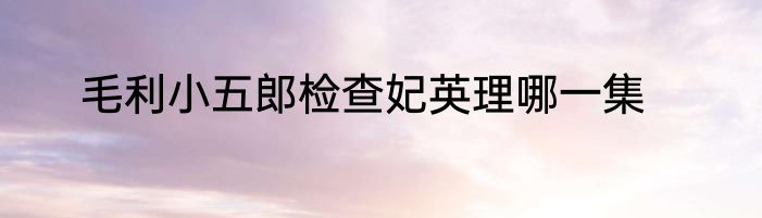 毛利小五郎检查妃英理哪一集