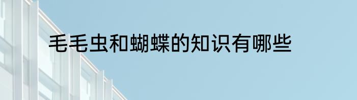 毛毛虫和蝴蝶的知识有哪些
