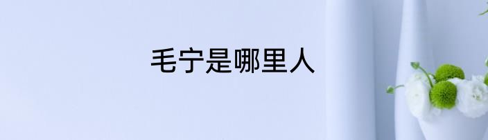 毛宁是哪里人