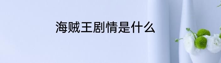 海贼王剧情是什么
